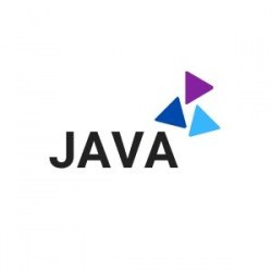 Java programming online course
