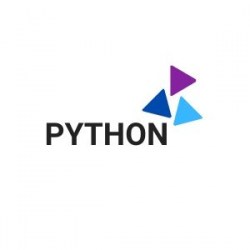 Python programming course