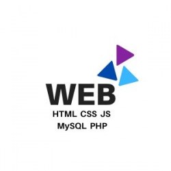 Online web programming course