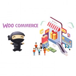Woocommerce developer