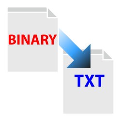 Convert binary file to text