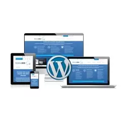 Wordpress website development
